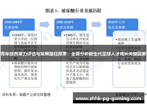 青年球员潜力评估与发展路径探索：全面分析新生代足球人才成长关键因素