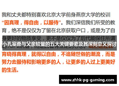 小孔塞桑与父亲较量的五大关键要素及其深刻意义探讨